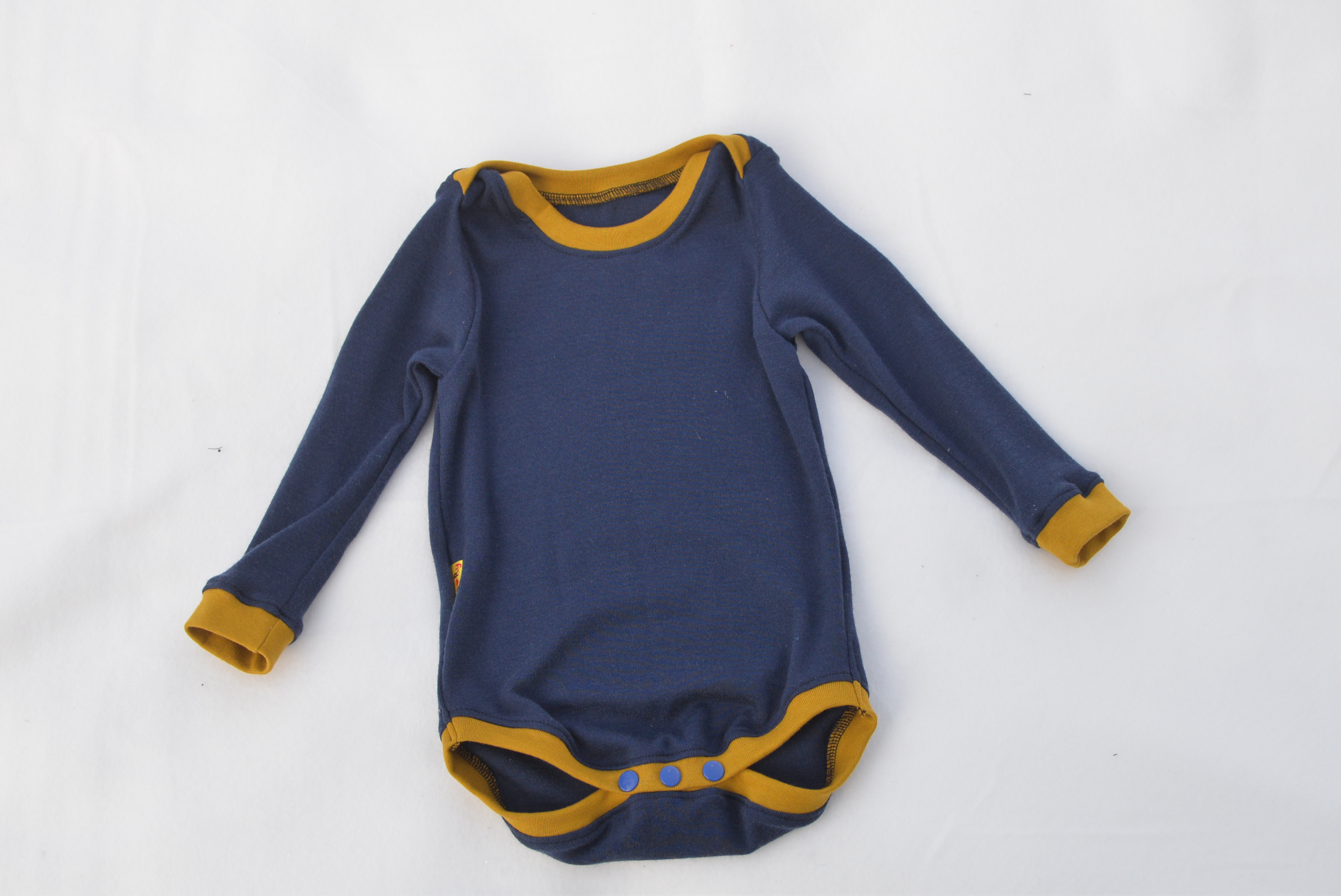 Merino body