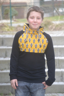 Mikina zebry